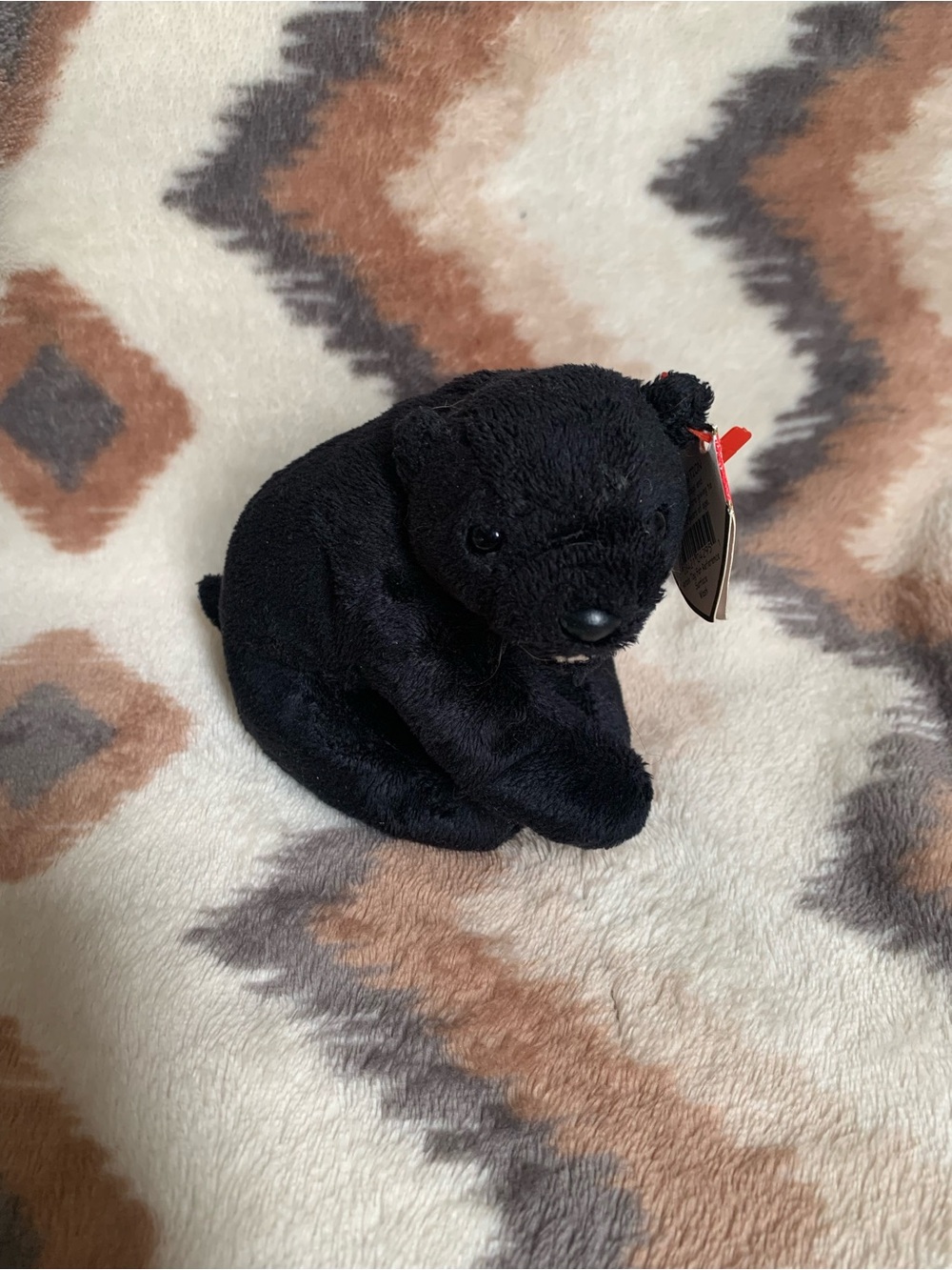 Ty Beanie Baby - CINDERS the Bear (5 Inch) Plush Stuffed Animal Toy